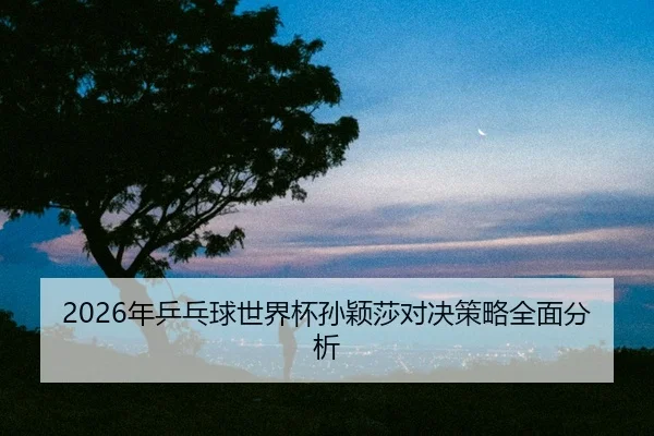 nian-ping-pang-qiu-shi-jie-bei-sun-ying-sha-dui-jue-ce-lve-quan-mian-fen-xi-2-877.jpg