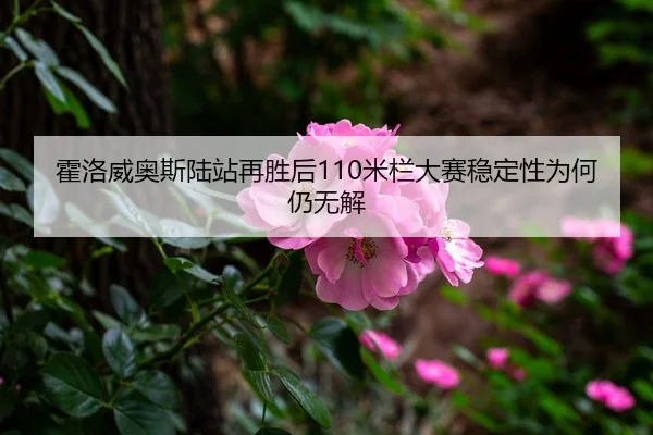 霍洛威奥斯陆站再胜后110米栏大赛稳定性为何仍无解