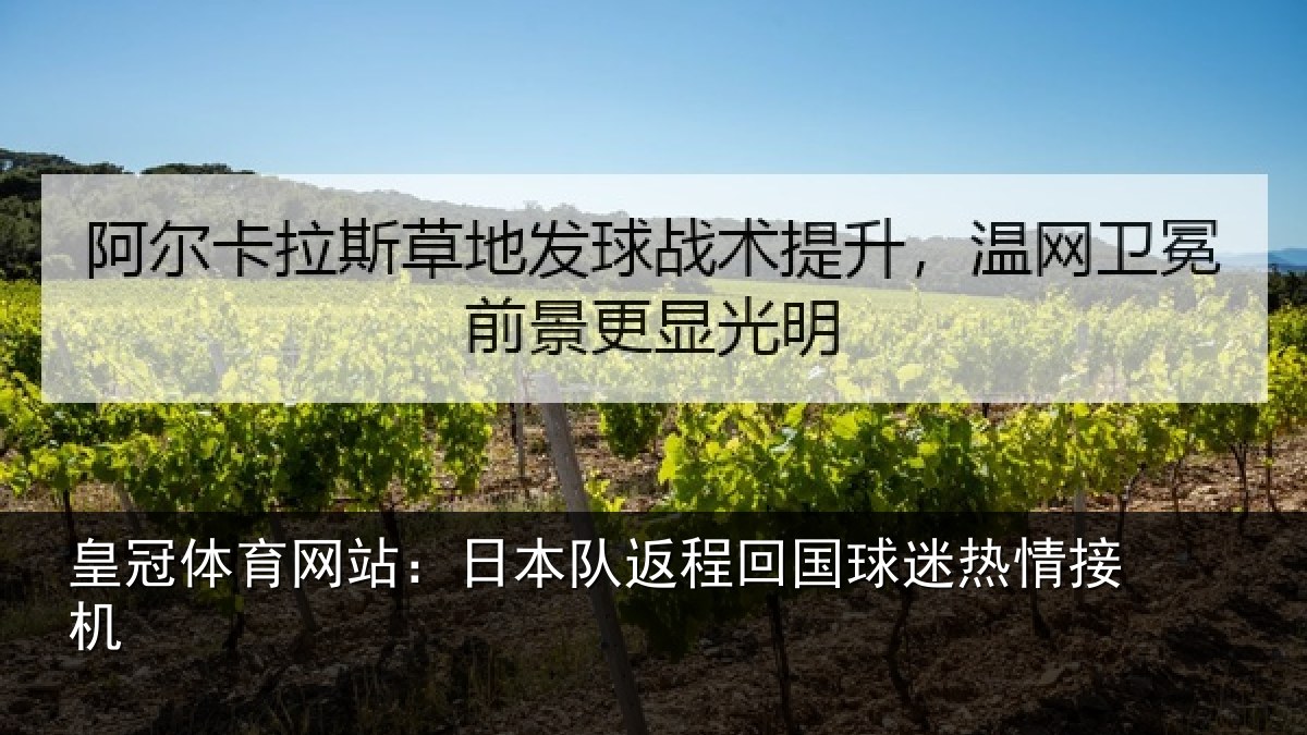 皇冠体育网站：日本队返程回国球迷热情接机