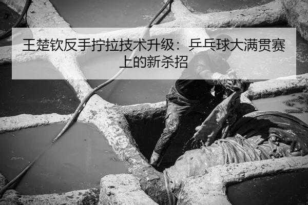 王楚钦反手拧拉技术升级：乒乓球大满贯赛上的新杀招